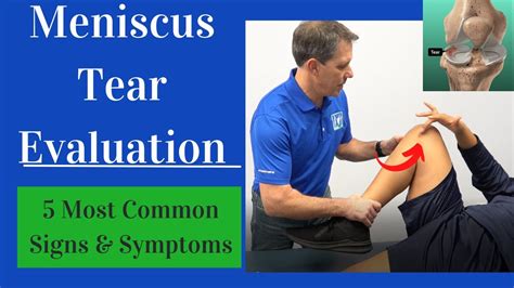 medial meniscus tear testing